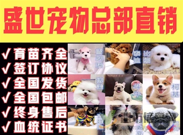 最高品質 最低價格 育苗齊全 包活簽協議 - 1380元