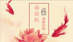 【宛小如福袋機】抓住財富新機遇 無憂創業項目