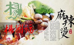 楊國福總部 火爆市場,免費技術送設備,月入20萬!