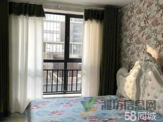 陽光100一室一廳一衛豪華裝修出租