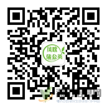 風吹蒲公英5.5元休閑食品