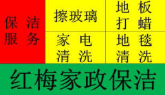 紅梅家政保潔的圖標(biāo)