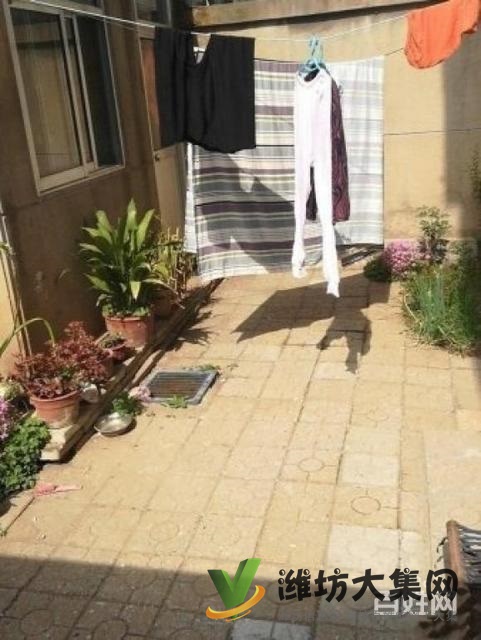 實驗廣文濰柴宿舍一樓帶院子精裝兩室朝陽