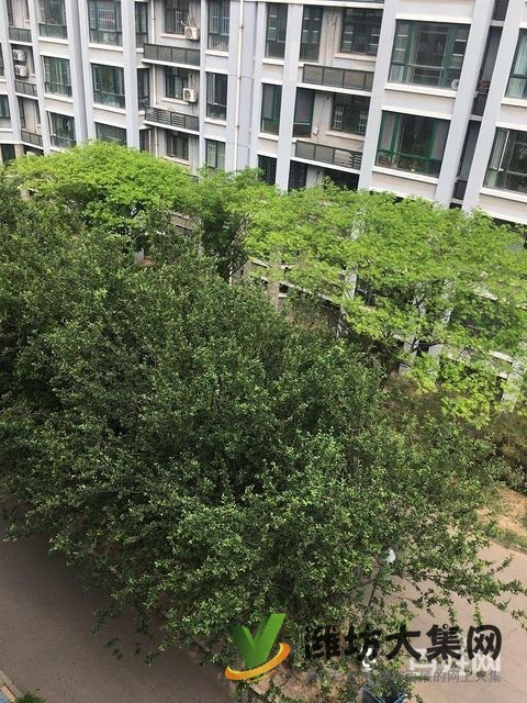 領秀華城房源,景觀樓層,南通透,業主個人委托,有鑰