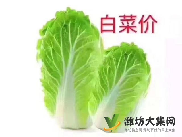 東風多利卡5方農藥噴灑車5噸綠化酒水車多功能灑水車