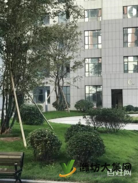 民生街四平路精裝現房公寓 帶托管 也可以自住每周都