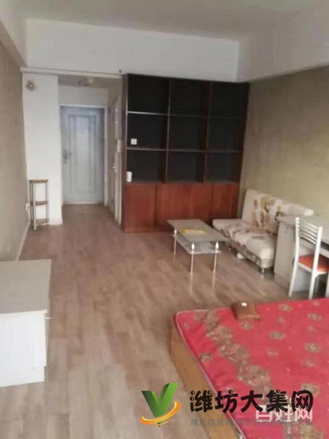 人民醫(yī)院近 新華小學 泰華領域 南向帶租精裝公寓40平 急售