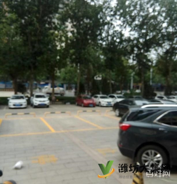 萬達九層電梯洋房雙商圈三室兩廳兩衛南北通透132平