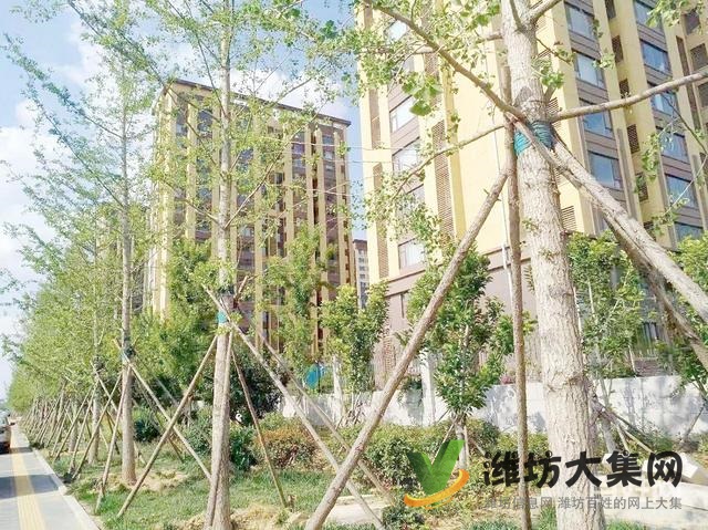 整租 |火車站南廣場 榮軍花園 多層2樓三室廳雙氣供暖130