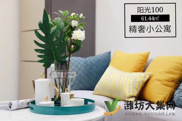 陽(yáng)光100精裝公寓40~60平 樣板間開(kāi)放歡迎品鑒