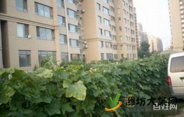 《恒信無虛假》紫瑞園151平H戶型,客廳朝陽戶型,