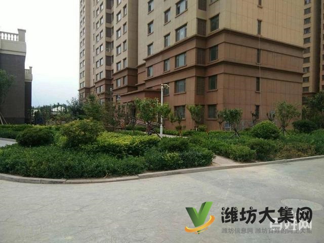 低首付 區(qū)政府近 凡爾賽麗都 客廳朝陽(yáng) 新房未住