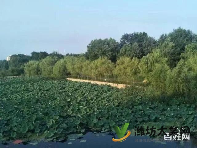 普蘭方城 110平全民標(biāo)三戶(hù)型 三期火熱銷(xiāo)售中