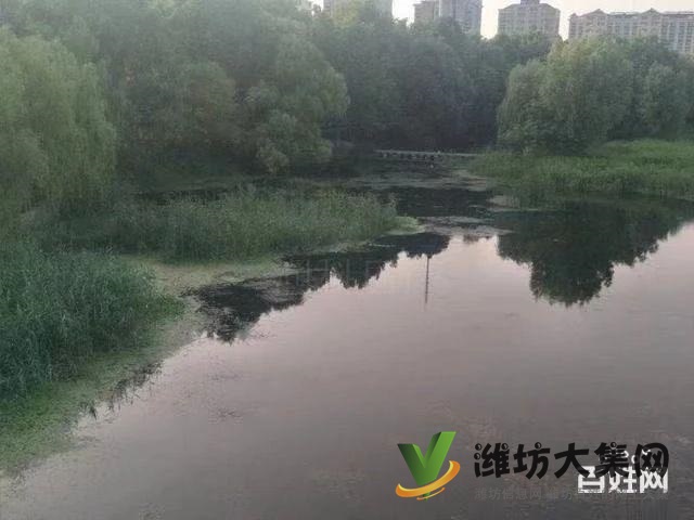 普蘭方城 110平全民標(biāo)三戶(hù)型 三期火熱銷(xiāo)售中