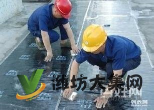 本地雨虹防水質保30年 衛生間屋面陽臺外墻不漏付款