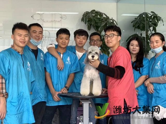 濰坊寵物美容學(xué)校培訓(xùn)正規(guī)嗎|一諾寵物美容培訓(xùn)學(xué)校