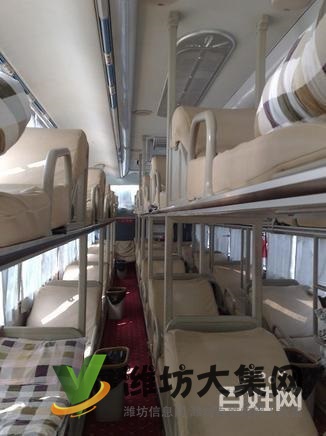 蘇州到壽光大巴長途汽車 寵物托運