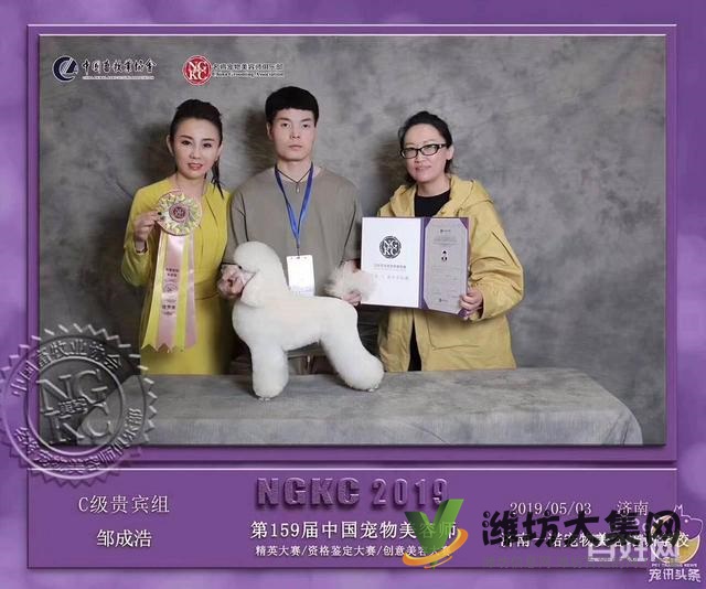 濰坊寵物美容護理學(xué)校? 一諾寵物美容師培訓(xùn)