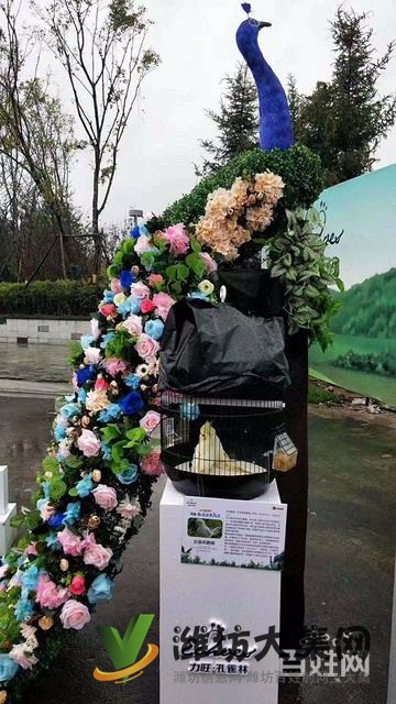 濰坊海洋生物租賃、萌寵動物租賃,百鳥展