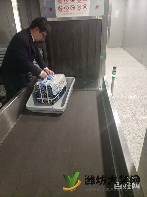 濰坊 寵物托運公司 正規公司安全可靠