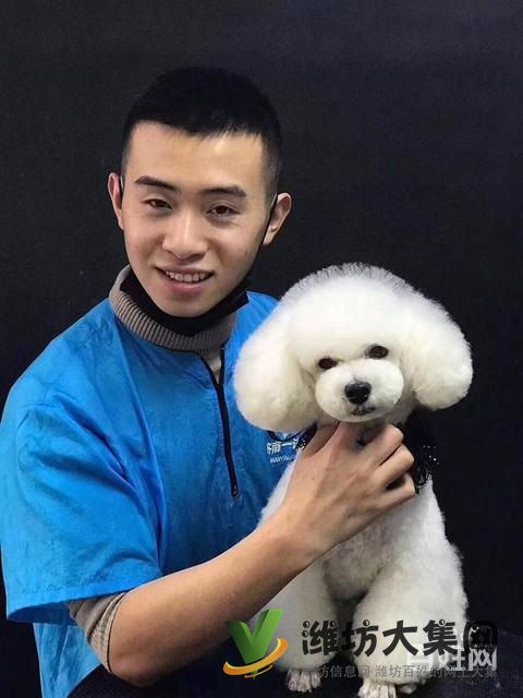 濰坊寵物美容培訓中心好不好|一諾寵物培訓學校
