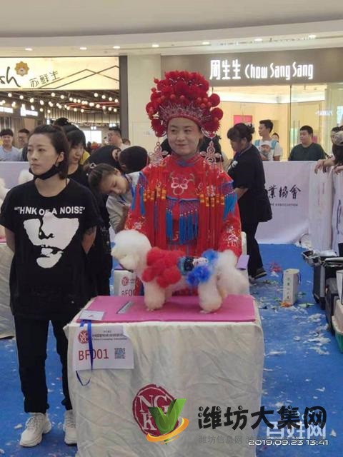 濰坊寵物美容護理學(xué)校? 一諾寵物美容師培訓(xùn)