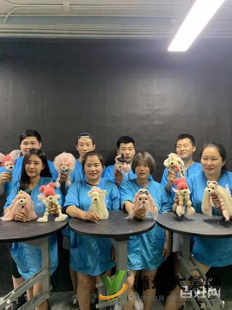 諸城專業(yè)寵物美容學(xué)校? 一諾寵物美容培訓(xùn)