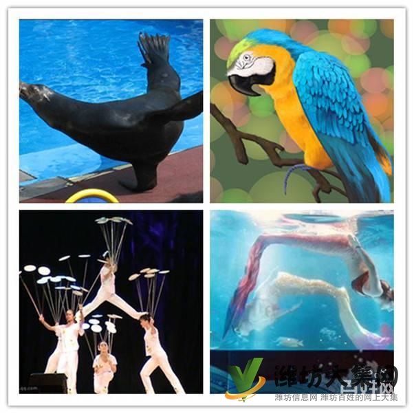 濰坊市哪里有馬戲團(tuán)表演出租 環(huán)球飛車(chē)租賃