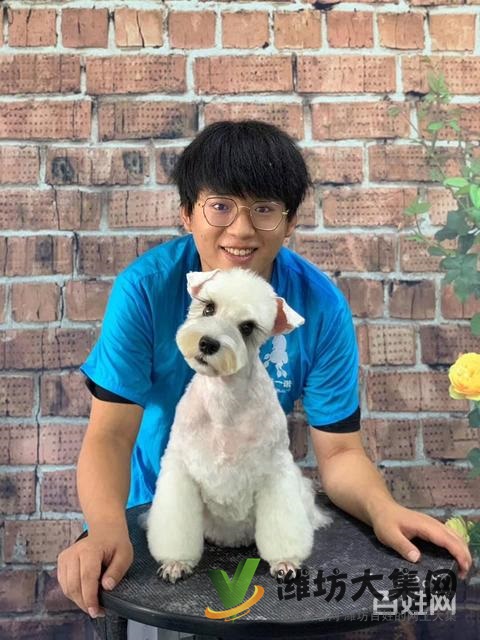 濰坊寵物美容培訓,有哪些寵物美容學校哪里好?