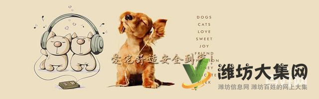 濰坊星寵快運-熱情打造寵物行業的順豐快遞