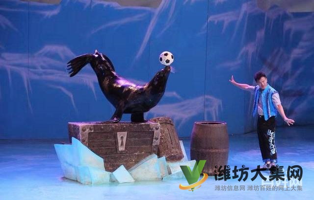 濰坊海洋生物租賃、萌寵動物租賃,百鳥展出租