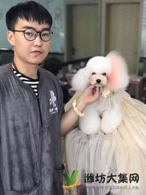 濰坊寵物美容培訓中心好不好|一諾寵物培訓學校