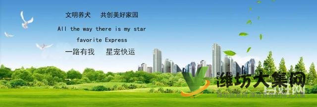 濰坊星寵快運-你隨意丟棄的,確是別人拼命守護