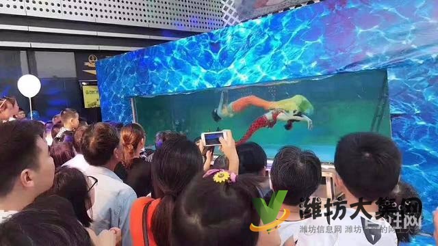 濰坊海洋生物租賃、萌寵動物租賃,百鳥展
