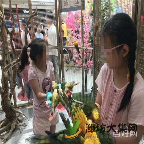 宿遷市海洋生物魚缸展出租供應商