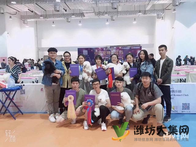 濰坊寵物美容培訓中心教得好?學寵物美容容易嗎