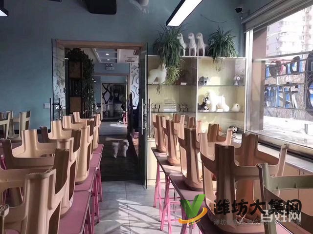 濰坊寵物美容學(xué)校培訓(xùn)正規(guī)嗎|一諾寵物美容培訓(xùn)學(xué)校