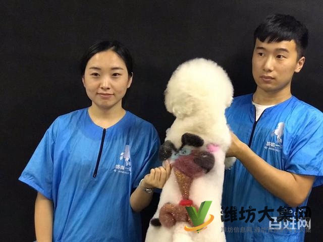 桂林專業(yè)寵物美容培訓(xùn)?寵物美容學(xué)校多少錢學(xué)費(fèi)?