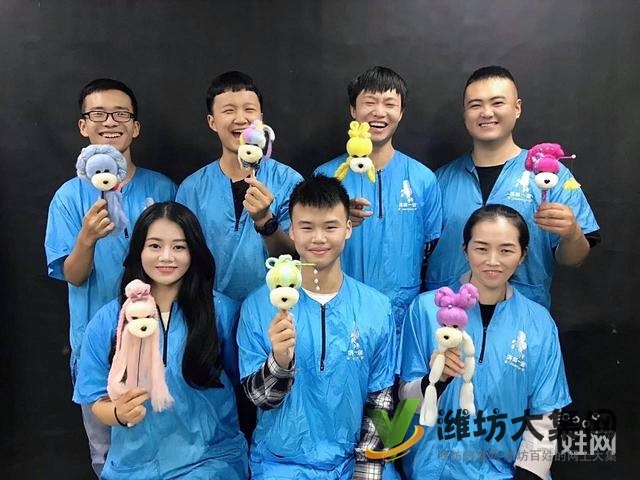 濰坊寵物美容培訓,有哪些寵物美容學校哪里好?