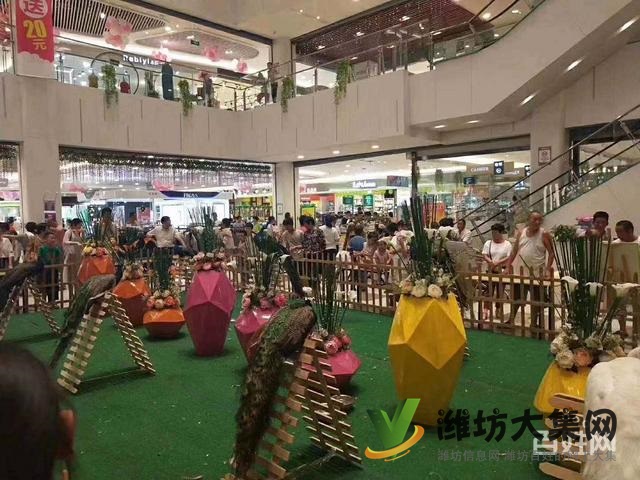 濰坊羊駝萌寵展租賃價格,出租多種小寵物報價單