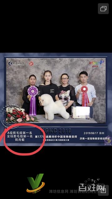 濰坊寵物美容培訓中心好不好|一諾寵物培訓學校