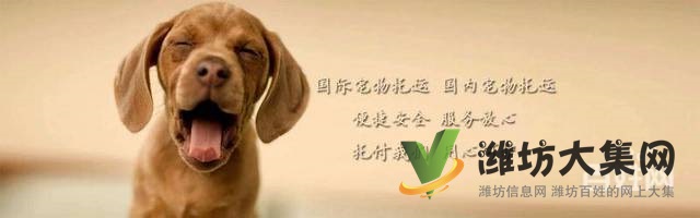 濰坊星寵快運-熱情打造寵物行業的順豐快遞