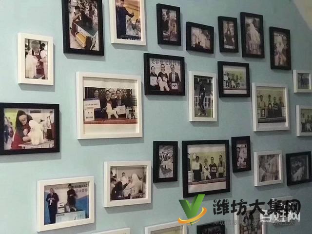 濰坊寵物美容培訓中心怎么選|一諾寵物美容師培訓