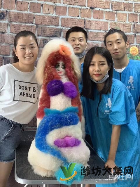 濰坊寵物美容培訓去哪好?去哪學寵物美容