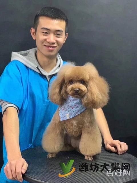 濰坊寵物美容美發(fā)培訓(xùn)正規(guī)嗎|一諾寵物培訓(xùn)學(xué)校