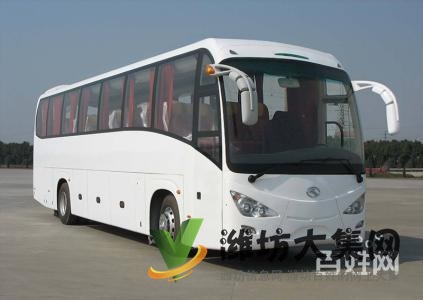 從南寧到昌樂直達汽車隨車電話129K326{寵物托運}