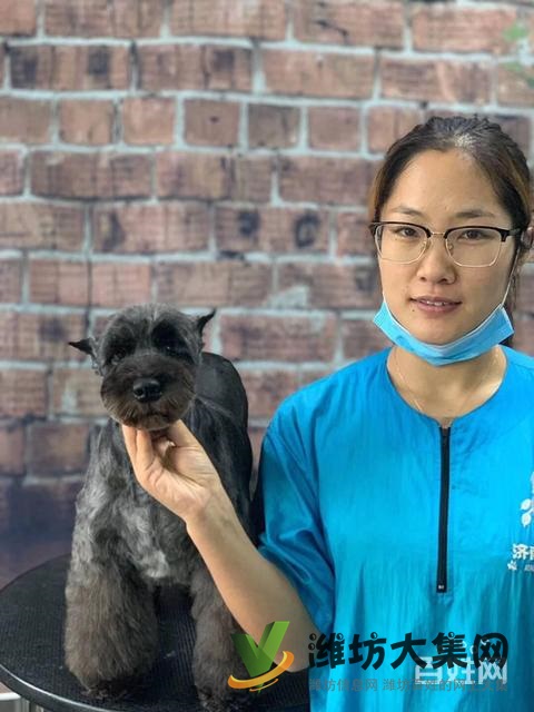 濰坊寵物美容培訓中心教得好?學寵物美容容易嗎