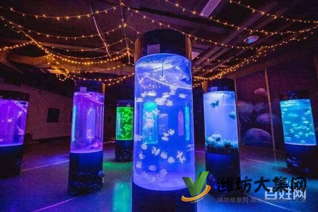 濰坊海洋生物租賃、萌寵動物租賃,百鳥展出租