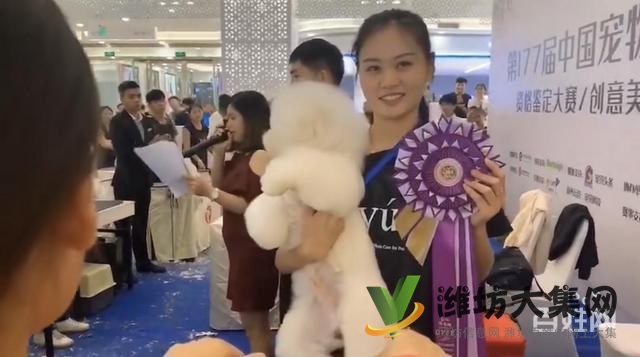 濰坊寵物美容培訓,有哪些寵物美容學校哪里好?