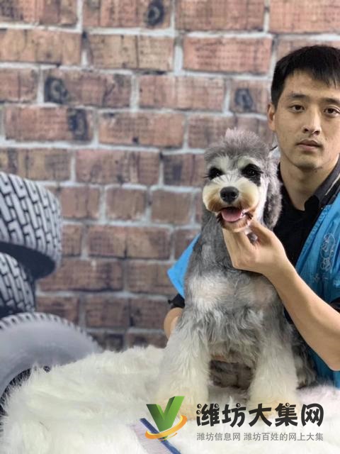 桂林專業(yè)寵物美容培訓(xùn)?寵物美容學(xué)校多少錢學(xué)費(fèi)?